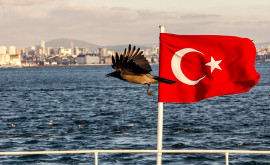 В Турции рассказали об отношении к Конвенции Монтрё