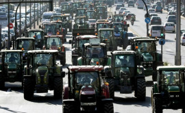 După Franța o altă țară europeană va fi împînzită de protestele agricultorilor