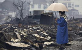 Как выжившие после землетрясения в Японии справляются с последствиями катаклизма