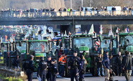 В пригороде Парижа полиция задержала фермеров