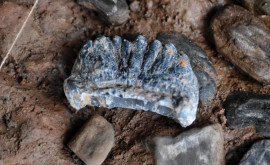 На югозападе Китая найдена стоянка времен палеолита