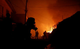 МИР В Чили 46 человек погибли изза лесных пожаров
