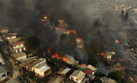 Incendiile din Chile fac prăpăd