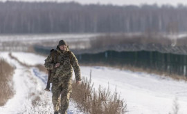 МВД Молдовы подтвердило информацию об инциденте на границе с Украиной
