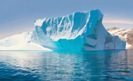Imaginea cu un urs polar care doarme pe un aisberg fotografia anului