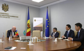 Молдова и Казахстан расширят сотрудничество 
