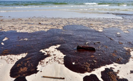 Островное государство может объявить чрезвычайное положение в связи с разливом нефти