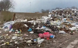 Groapa de gunoi de la Dănceni O povară pentru mediu și localnici