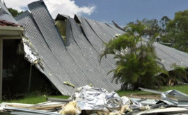 В Австралии ураган сорвал крыши и повалил деревья