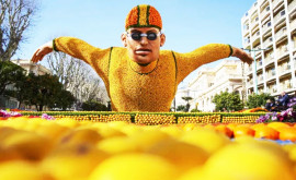 На Лазурном берегу во Франции начался Фестиваль лимонов