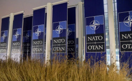 В Европе обсуждают создание альтернативы НАТО