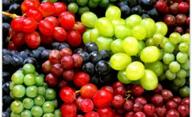 По каким ценам Молдова экспортировала столовый виноград 