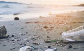 Ecologiștii au analizat răspîndirea microplasticului în Oceanul Atlantic