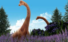 A fost descoperită o nouă specie de titanosaur