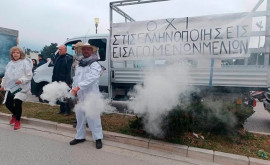 Протест пчеловодов в Афинах