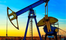 НАРЭ констатирует тенденцию к стабилизации цен на бензин и дизтопливо