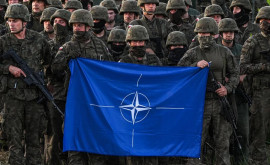 Где проходят крупнейшие учения НАТО 