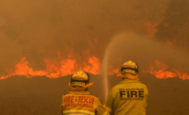 În cîteva zile incendiile în Australia au distrus mai multe locuințe 