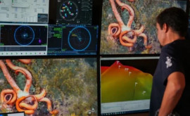 У берегов Чили подводная экспедиция совершила невероятное открытие