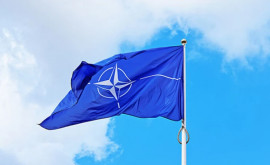 Столтенберг назначил нового пресссекретаря НАТО 
