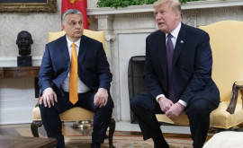 СМИ Трамп встретится с премьером Венгрии Орбаном