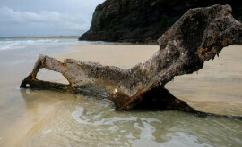 На пляжи Англии вынесло остатки корабля затонувшего 130 лет назад