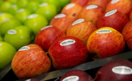 Куда и сколько яблок экспортирует Молдова 