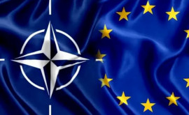 Дипломаты стран НАТО призвали европейские государства готовиться к выходу США из альянса