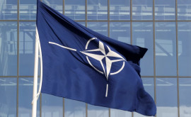 Американский сенатор В НАТО нет места и для США и для Украины