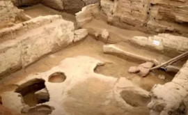 Arheologii au dat peste cea mai veche pîine din lume