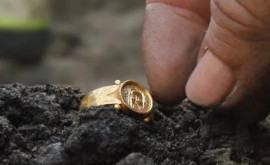 При раскопках в Швеции найдены средневековые драгоценности