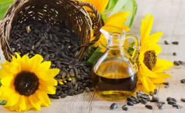 Ce se întîmplă cu prețurile la uleiul și semințele de floarea soarelui