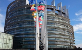 Изза чего Европарламент хочет судиться с Еврокомиссией 