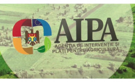 AIPA informează despre termenullimită pentru cereri la unele proiecte investiționale