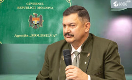 A demisionat șeful de la Moldsilva
