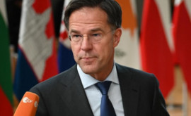 Нидерланды пригрозили Израилю санкциями