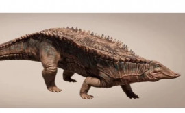 A fost descoperit un strămoș neobișnuit al crocodililor
