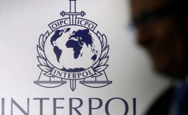 Интерпол выразил готовность помочь РФ в расследовании теракта 