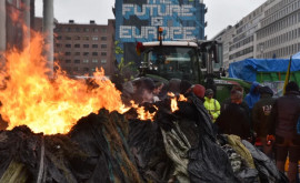 Костёр возле Европейского парламента в Брюсселе фермеры устроили новую акцию протеста