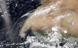 Молдову накроет облако пыли из Сахары чем оно опасно