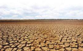 Многолетние засухи где произойдут и какие будут последствия