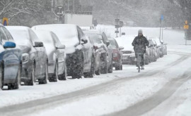 Сильный снегопад парализовал дорожное движение в Швеции