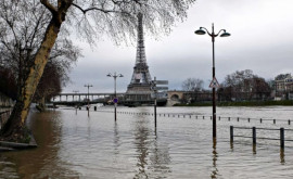 Nivelul apei din rîul Sena a crescut rapid Ce sa întîmplat la Paris