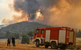 На острове Крит бушует лесной пожар