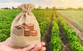 AIPA a valorificat 50 din Fondul Național de Dezvoltare a Agriculturii și Mediului Rural 