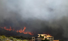 Mai multe echipe de pompieri au luptat cu un incendiu de pădure în Creta