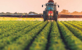Сельскохозяйственный сектор будет переориентирован на более экологичные методы работы