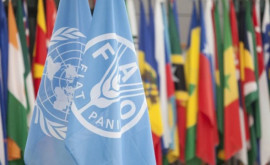 Sesiunea FAO a fost transferată de la Chișinău la Roma dar sub președinția Republicii Moldova 