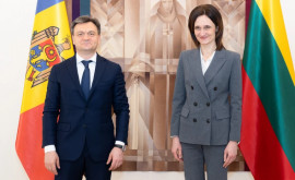 Primministrul Moldovei sa întîlnit cu președintele Seimasului Lituaniei