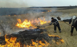 Mai multe persoane sancționate pentru incendierea intenționată a vegetației uscate